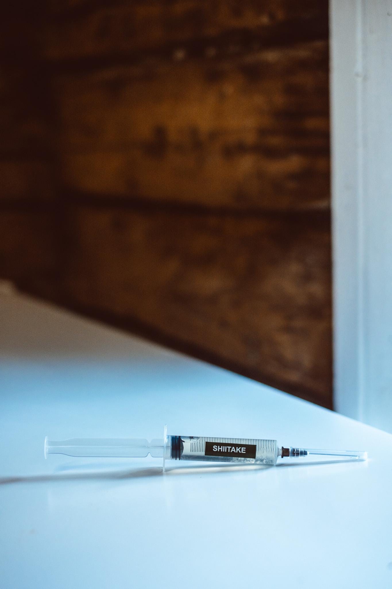 3x Shiitake Liquid Culture β 10ml Syringes | Lentinula edodes | Gourmet Mushroom Mycelium for Home Growing