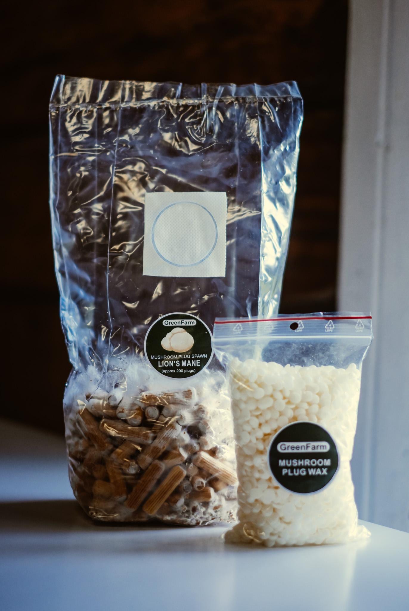 Lion's Mane 200 Mushroom Plug Spawn: Grow Your Own Hericium erinaceus