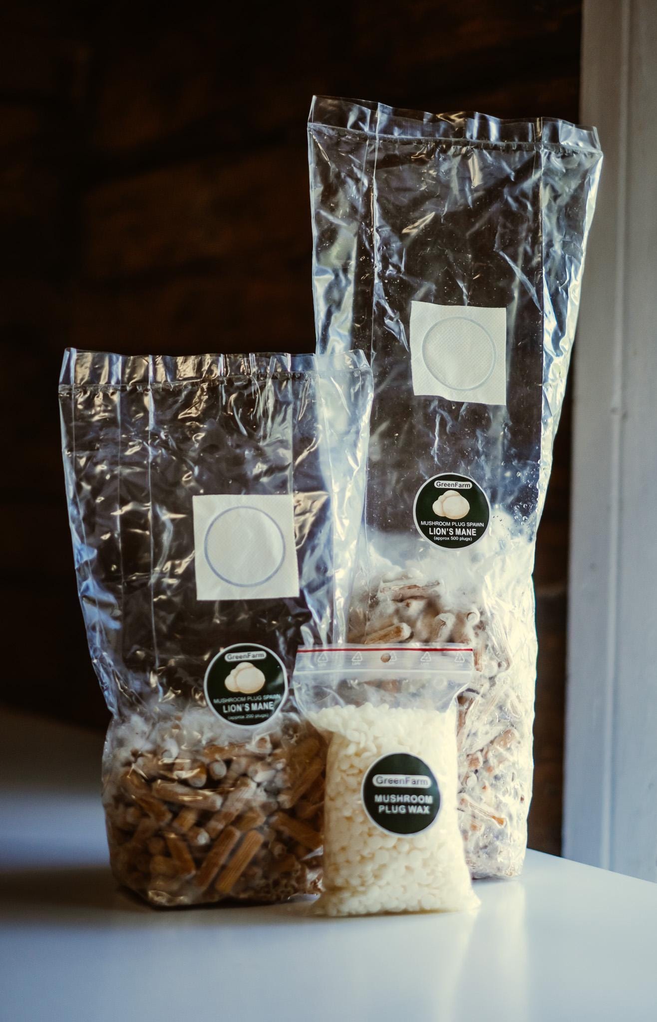 Lion's Mane 200 Mushroom Plug Spawn: Grow Your Own Hericium erinaceus