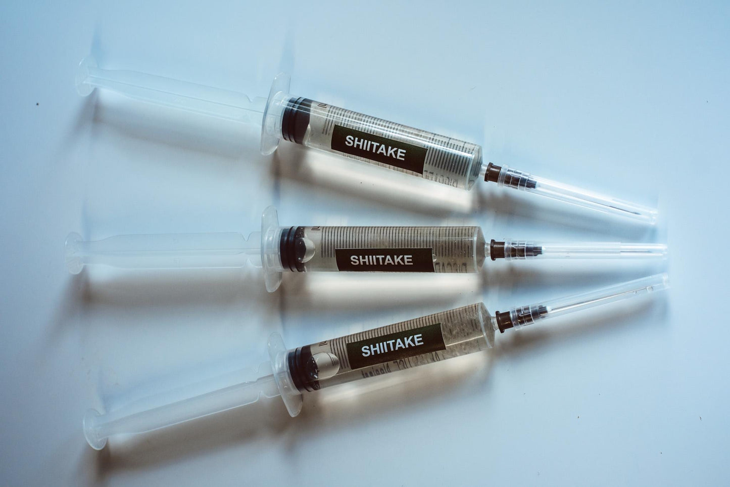 3x Shiitake Liquid Culture – 10ml Syringes | Lentinula edodes | Gourmet Mushroom Mycelium for Home Growing