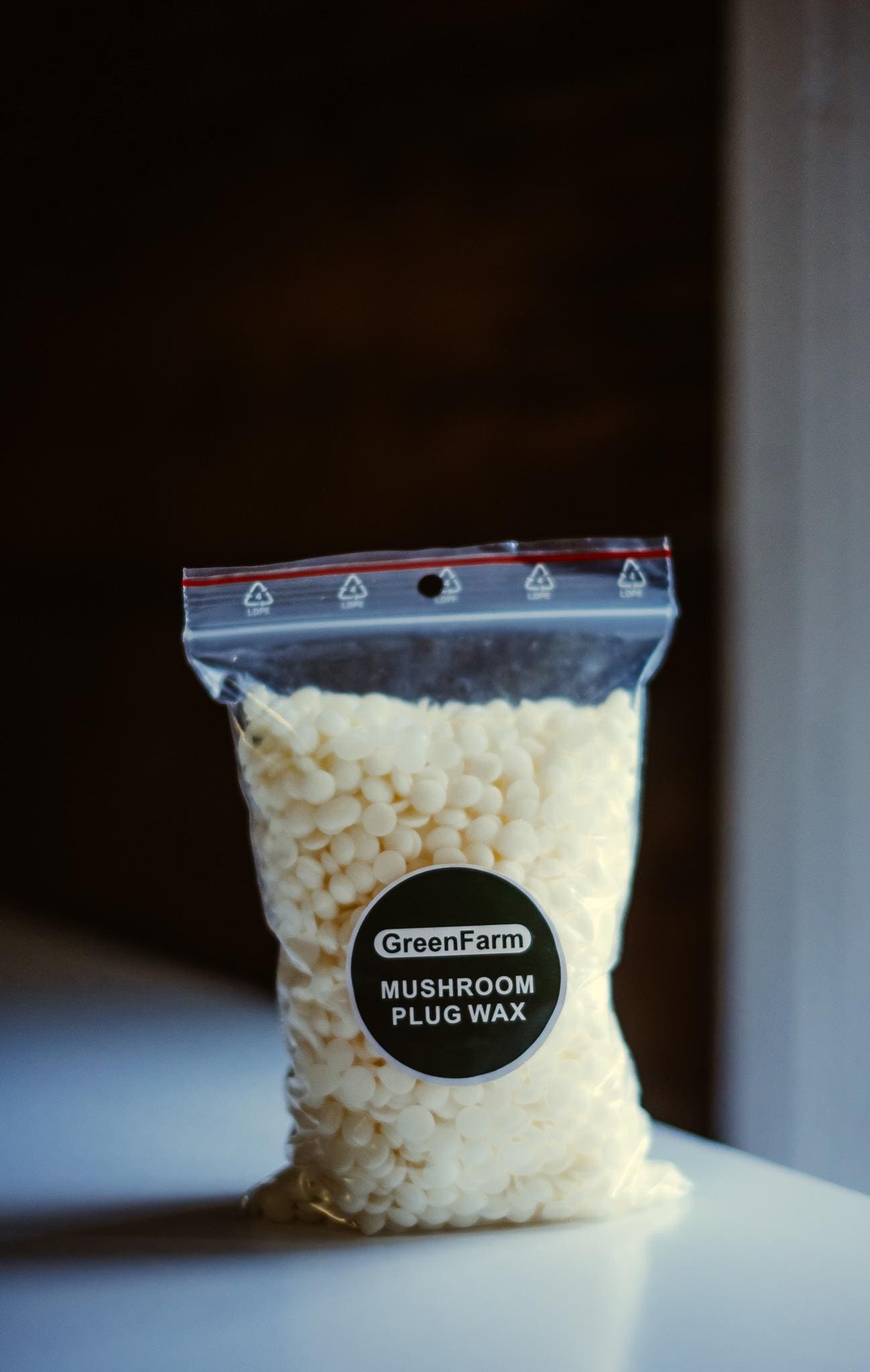 Shiitake 200 Mushroom Plugs Spawn: Grow Your Own Gourmet Mushrooms