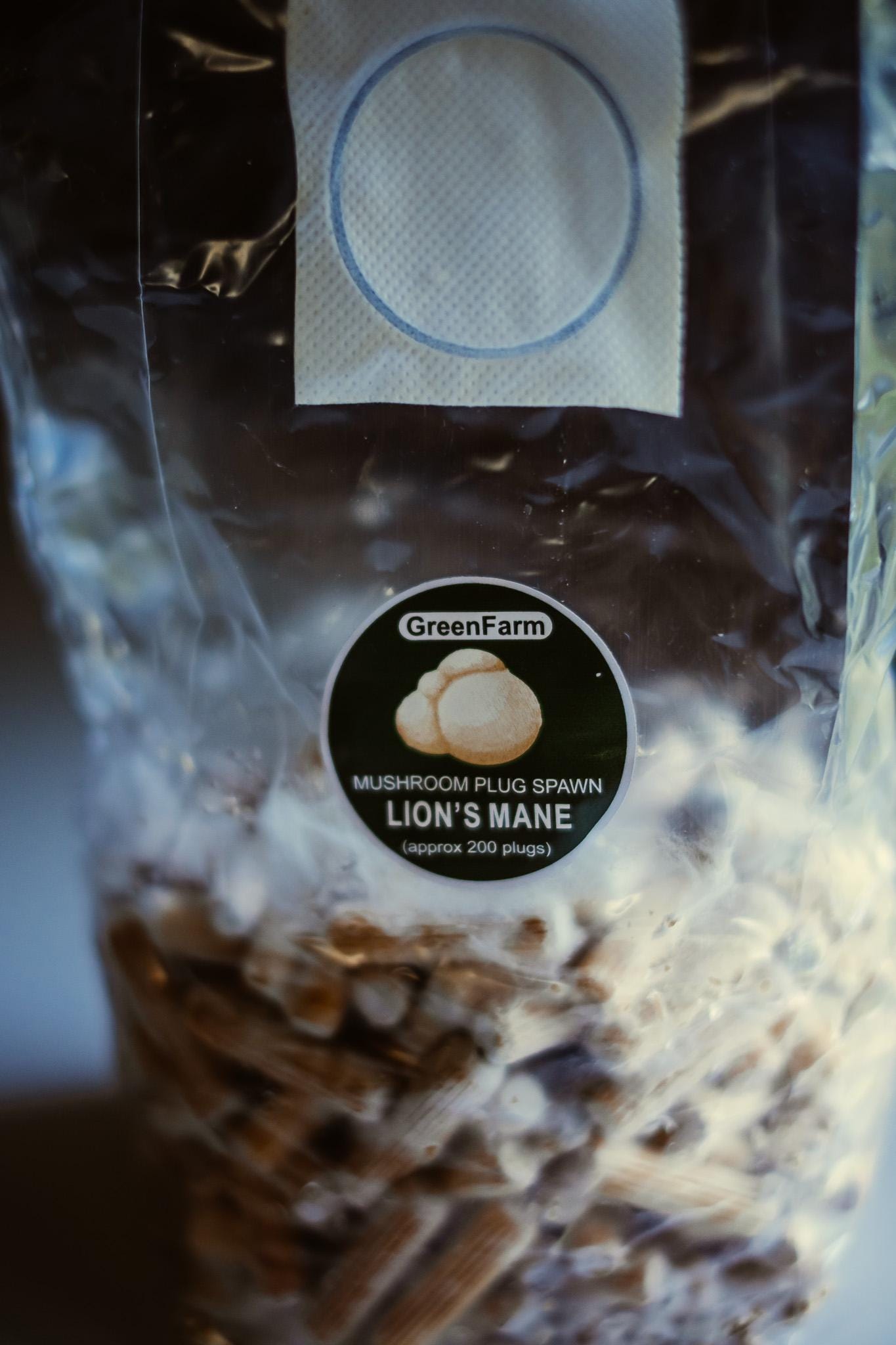 Lion's Mane 200 Mushroom Plug Spawn: Grow Your Own Hericium erinaceus