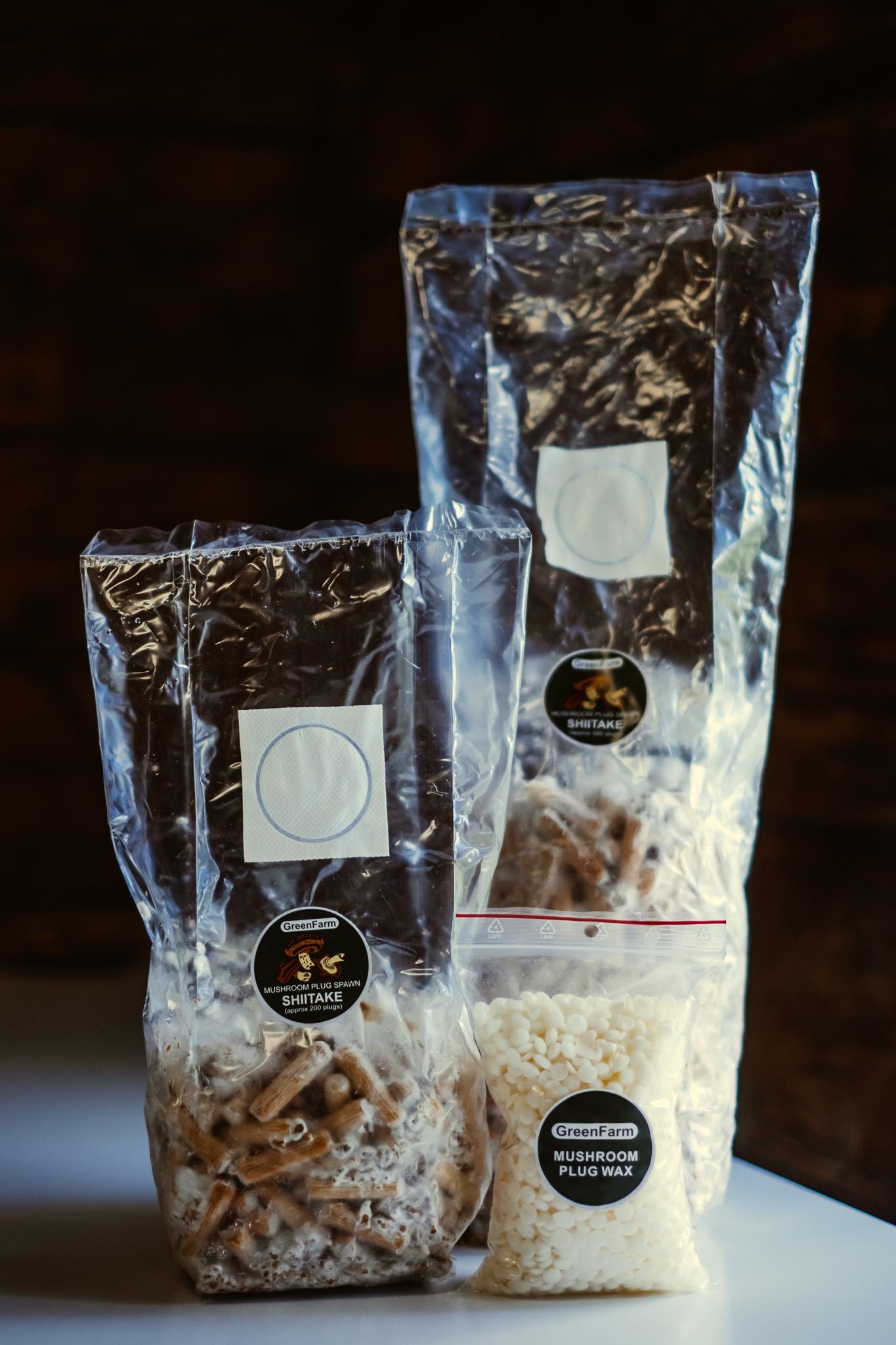 Shiitake 200 Mushroom Plugs Spawn: Grow Your Own Gourmet Mushrooms