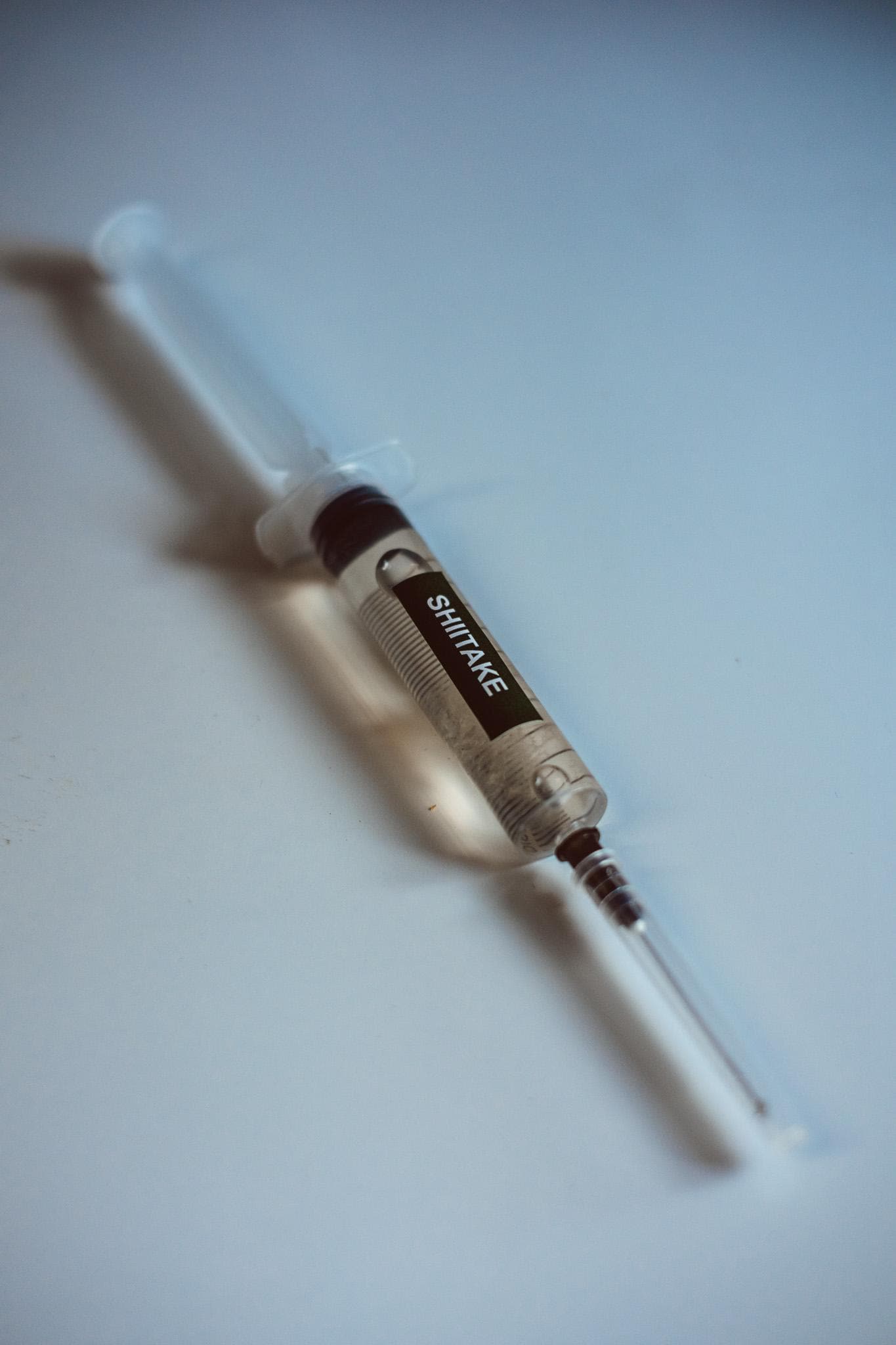 5x Shiitake Liquid Culture – 10ml Syringes | Lentinula edodes | Bulk Mushroom Mycelium for Growing