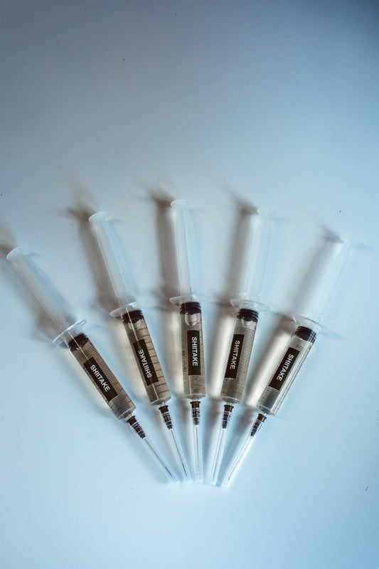 5x Shiitake Liquid Culture – 10ml Syringes | Lentinula edodes | Bulk Mushroom Mycelium for Growing