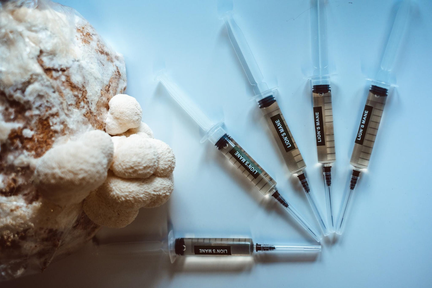 5x Lion’s Mane Liquid Culture – 10ml Syringes | Hericium erinaceus | Mushroom Mycelium for Home Growing