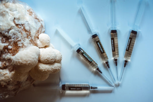5x Lion’s Mane Liquid Culture – 10ml Syringes | Hericium erinaceus | Mushroom Mycelium for Home Growing