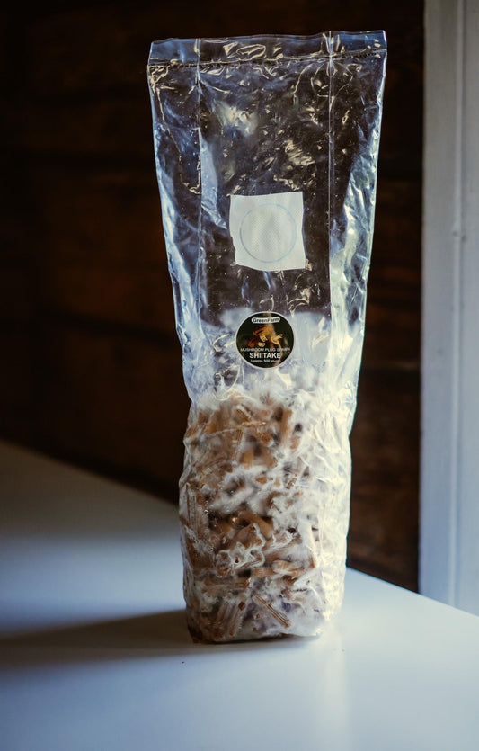 Shiitake 1000 Mushroom Plugs Spawn: Hardwood Log Growing Kit
